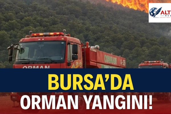 Bursa’da Orman Yangını! Havadan ve Karadan Yoğun Müdahale