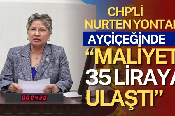 CHP'li Yontar: Ayçiçeğinde Üretici Tarlasını Değil, Zararını Biçiyor