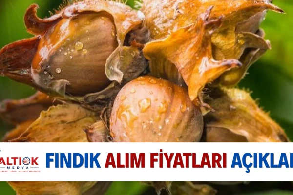 Fındık Alım Fiyatları Açıklandı...