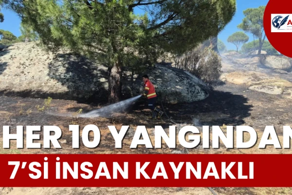 Muğla’da Yangınların Acı Bilançosu! Her 10 Yangından 7’si İnsan Kaynaklı