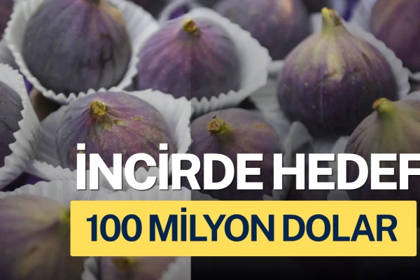 Taze İncirde Rekolte Yüksek, Hedef 100 Milyon Dolar