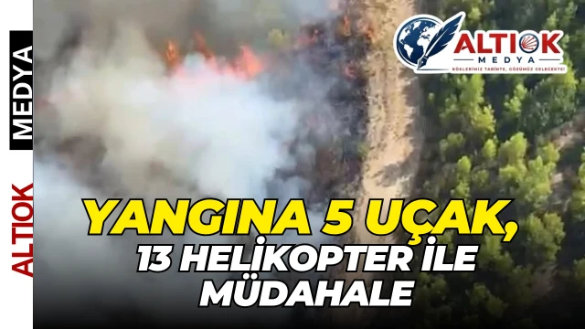 Antalya Serik’te Orman Yangını