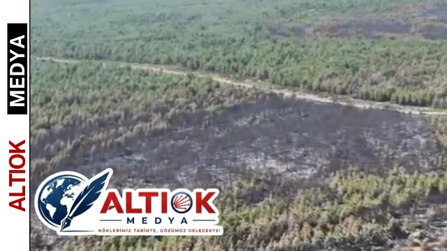 Antalya ve Adana'daki Yangınlar Kontrol Altına Alındı