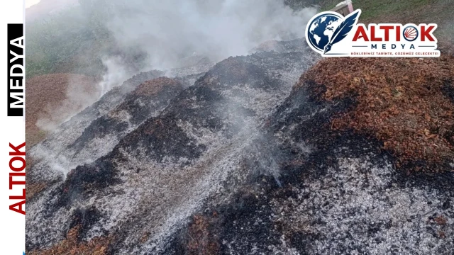 Düzce Akçakoca’da Fındık Bahçesinde Yangın