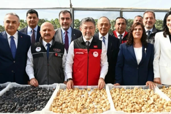 Yumaklı Açıkladı: 2026’da 94 Bin Ton Kuru İncir Rekoltesi Bekleniyor